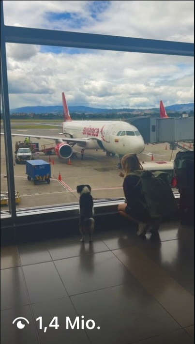 Meadow schaut aus dem Terminal auf das Flugzeug – 1,4 Mio. Views